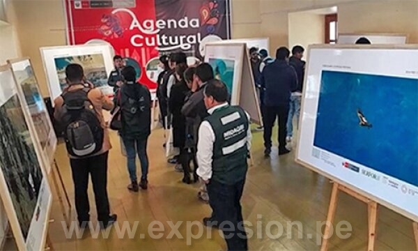 36 CÓNDORES FUERON REGISTRADOS