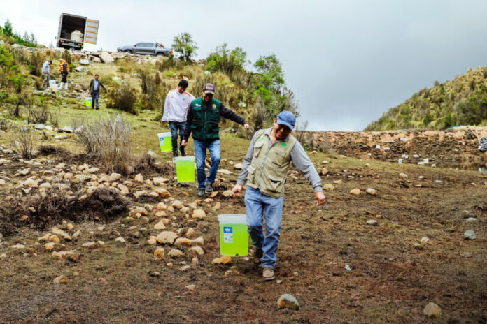 PROYECTO PEJERREY A PASO FIRME1
