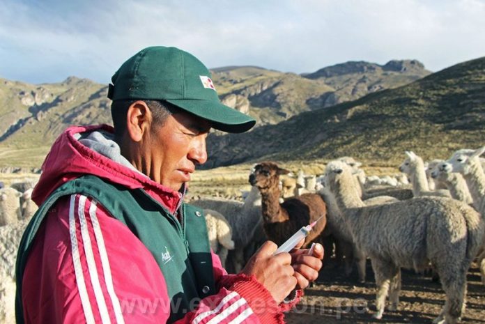 MIDAGRI, A TRAVÉS DE AGRO RURAL (2)