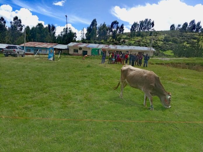 ESCUELAS DE CAMPO EN MANEJO 3