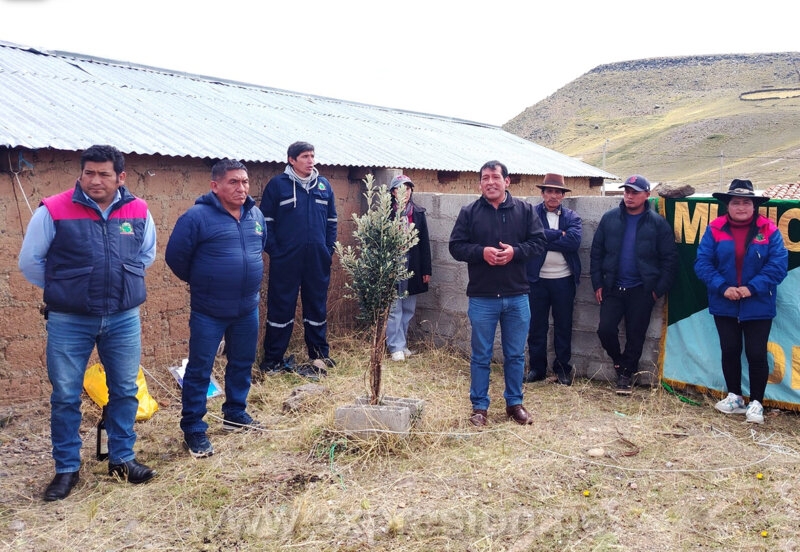 ENTREGA DE ALPACAS A LAS COMUNIDADES