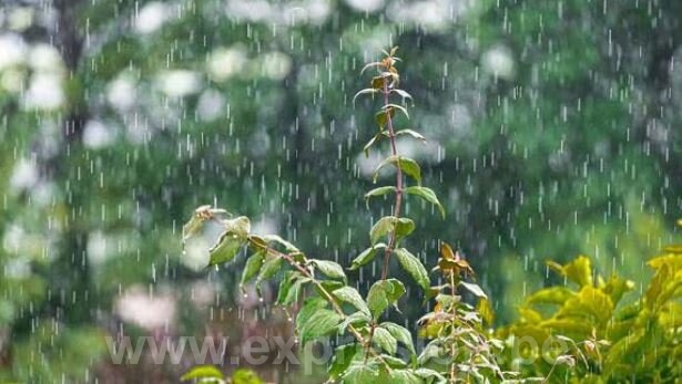 Habrá lluvias y nieve en 13 regiones