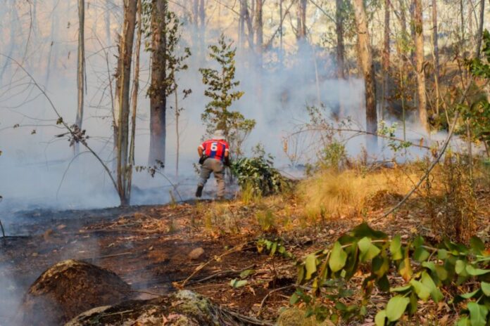 SOFOCARON INCENDIO 3