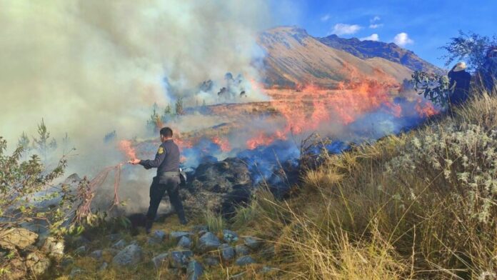 Voraz incendio1