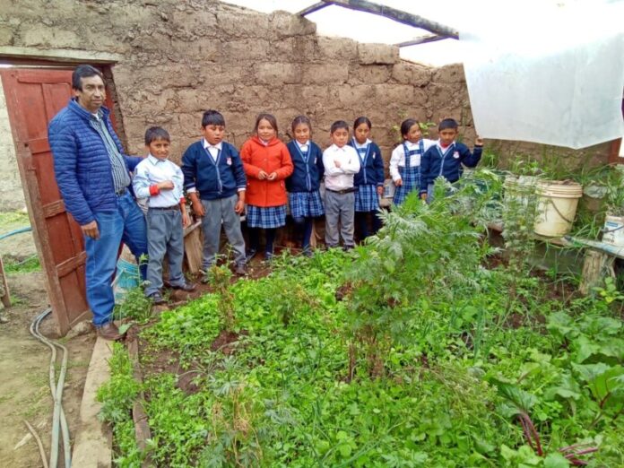 INSTALAN BIOHUERTO ESCOLAR 3