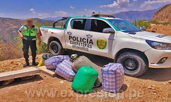 incautan 60 hojas de coca