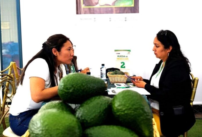 Éxito total Rueda de Negocios