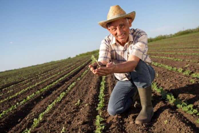 GOBIERNO ACTIVA SEGURO AGRÍCOLA3
