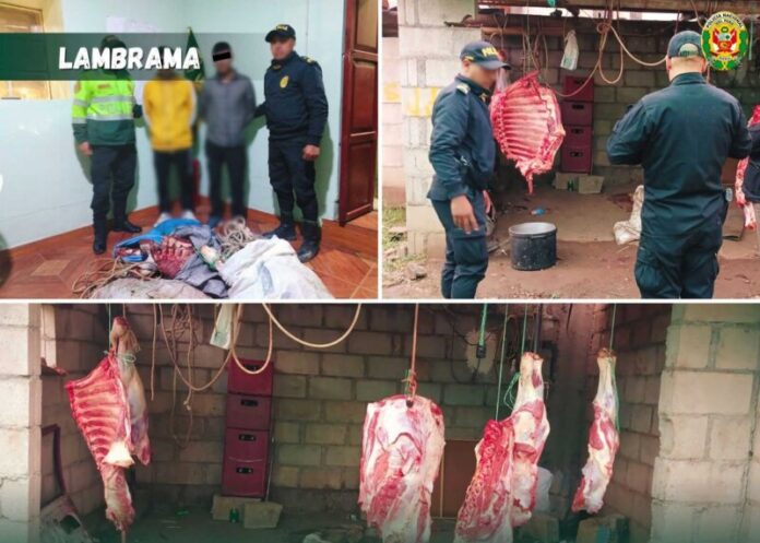 DESARTICULAN BANDA CRIMINAL
