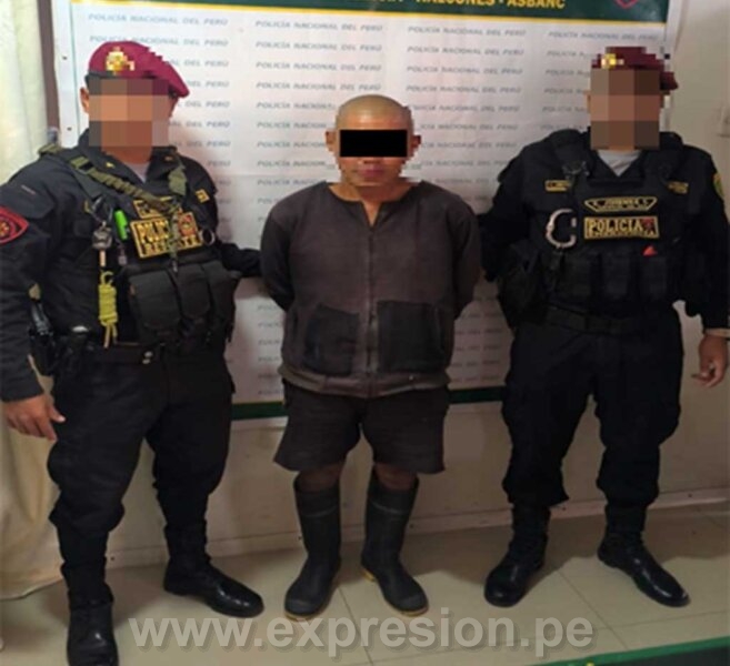 Tenencia ilegal de armas1