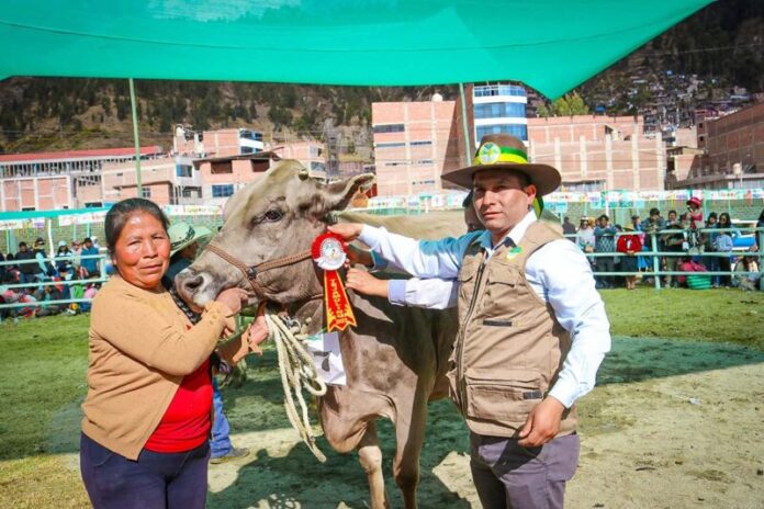 Feria Tejamolino8