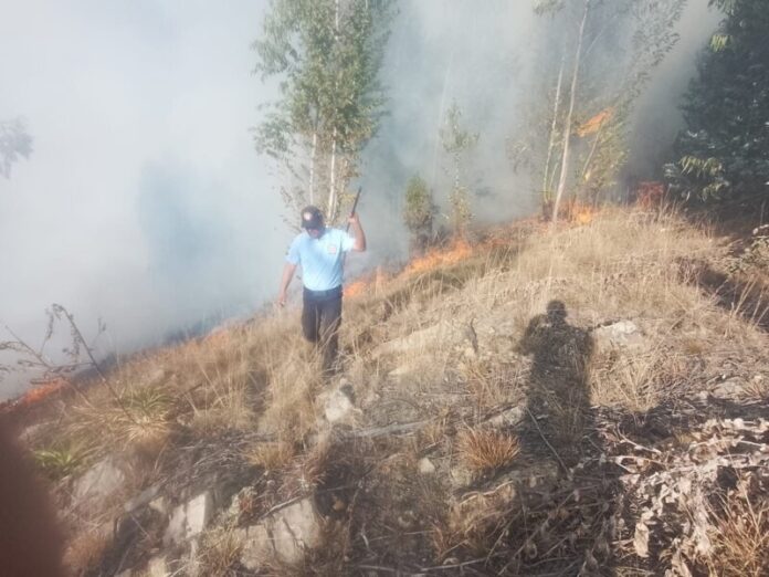 Sofocan incendio5