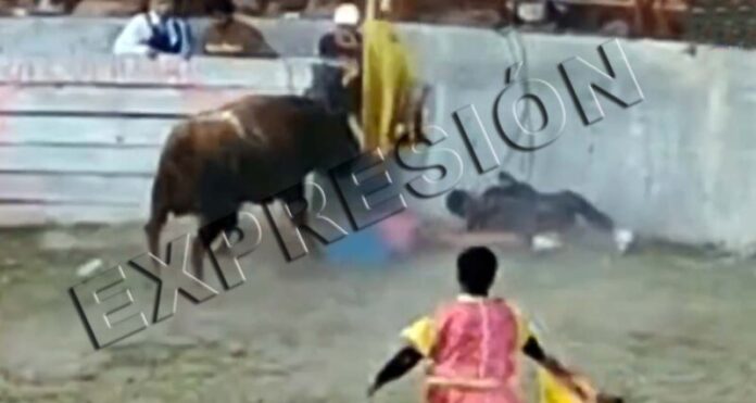 Toro eviste a joven1