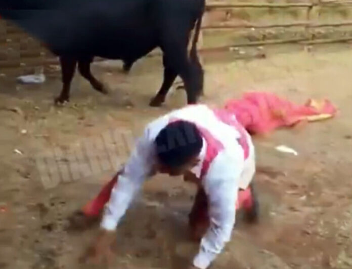 TORERO FALLECE TRAS SER EMBESTIDO