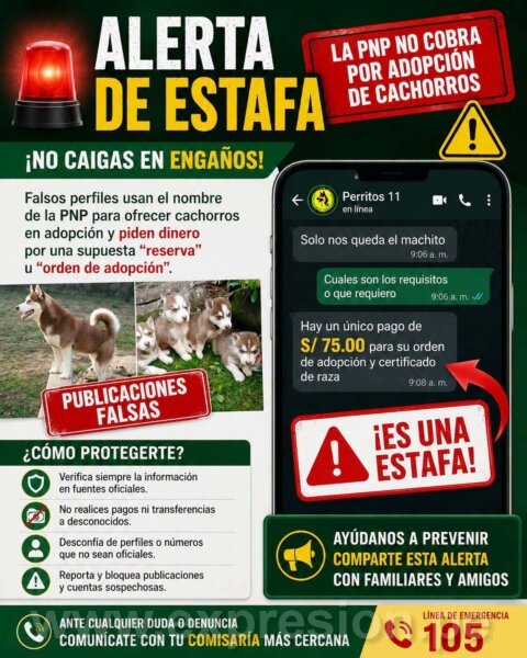 AUTORIDADES EXHORTAN A DENUNCIAR