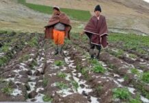 DANA “ANÍBAL”: ACTIVARÁN SEGURO AGRARIO PARA PRODUCTORES AFECTADOS EN APURÍMAC Y PUNO