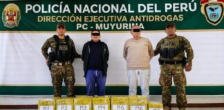 GOLPE AL TRÁFICO DE DROGAS: POLICÍA INCAUTA 136 KILOS DE COCAÍNA Y DETIENE A DOS PERSONAS EN OCROS