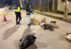PEATÓN MUERE TRAS SER ATROPELLADO EN LA AV. SESQUICENTENARIO