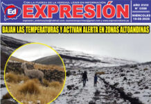 EDICION DG 0208-2026