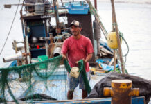 PRODUCE ESTABLECE CUOTAS Y NUEVAS MEDIDAS PARA ORDENAR LA PESCA DE ANCHOVETA, JUREL, CABALLA Y BONITO