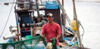 PRODUCE ESTABLECE CUOTAS Y NUEVAS MEDIDAS PARA ORDENAR LA PESCA DE ANCHOVETA, JUREL, CABALLA Y BONITO
