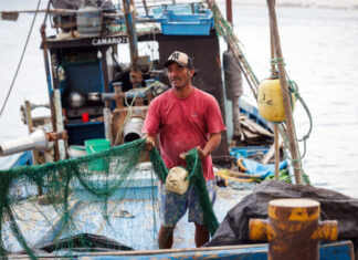 PRODUCE ESTABLECE CUOTAS Y NUEVAS MEDIDAS PARA ORDENAR LA PESCA DE ANCHOVETA, JUREL, CABALLA Y BONITO