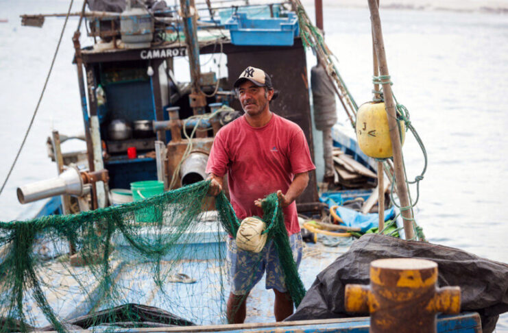 PRODUCE ESTABLECE CUOTAS Y NUEVAS MEDIDAS PARA ORDENAR LA PESCA DE ANCHOVETA, JUREL, CABALLA Y BONITO