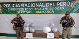 PNP DECOMISA MÁS DE 29 KILOS DE MARIHUANA EN OPERATIVO CONTRA EL TRÁFICO ILÍCITO DE DROGAS