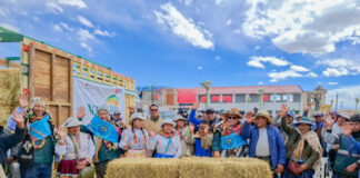 MIDAGRI: AGRO RURAL LIDERA ACCIONES DE PREPARACIÓN Y RESPUESTA ANTE EMERGENCIAS EN AREQUIPA