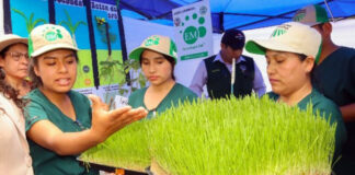 ANDAHUAYLAS CONCENTRARÁ EL TALENTO DE LA EDUCACIÓN SUPERIOR APURIMEÑA EN LA II EXPOFERIA “INTEC 2026”