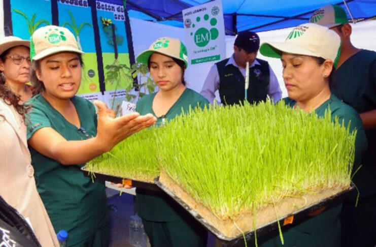 ANDAHUAYLAS CONCENTRARÁ EL TALENTO DE LA EDUCACIÓN SUPERIOR APURIMEÑA EN LA II EXPOFERIA “INTEC 2026”