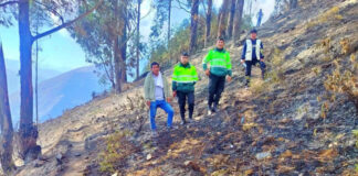 CONTROLAN INCENDIO FORESTAL QUE AFECTÓ CERCA DE OCHO HECTÁREAS EN HUARAYPAMPA