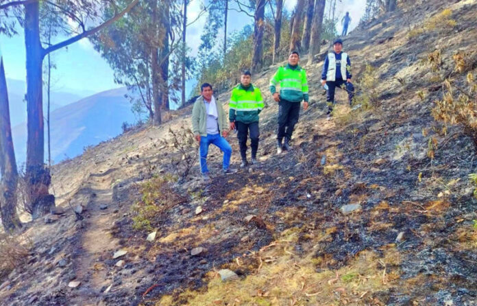 CONTROLAN INCENDIO FORESTAL (1)