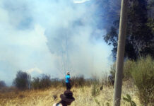 INCENDIO FORESTAL EN LUCRE AFECTA ÁRBOLES Y PASTOS NATURALES EN EL SECTOR MUCTA
