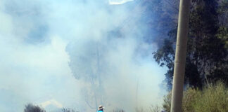 INCENDIO FORESTAL EN LUCRE AFECTA ÁRBOLES Y PASTOS NATURALES EN EL SECTOR MUCTA