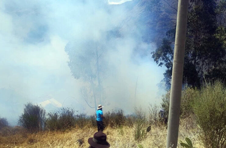 INCENDIO FORESTAL EN LUCRE AFECTA ÁRBOLES Y PASTOS NATURALES EN EL SECTOR MUCTA