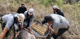 PNP RESCATA A JOVEN TRAS CAER A ABISMO DE APROXIMADAMENTE 80 METROS EN ABANCAY