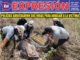 EDICION DG 0222-2026