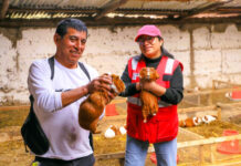 PROGRAMA PAIS: 9 AÑOS ACERCANDO MÁS DE 1.7 MILLONES DE ATENCIONES A CENTROS POBLADOS DE APURÍMAC