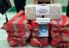OCROS: ABANDONAN COMBI CON MÁS DE 400 KILOS DE CANNABIS TRAS OPERATIVO POLICIAL