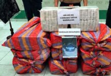 OCROS: ABANDONAN COMBI CON MÁS DE 400 KILOS DE CANNABIS TRAS OPERATIVO POLICIAL