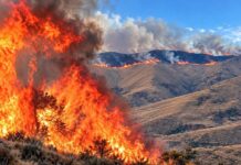 CUATRO DÍAS DE FUEGO PONEN EN ALERTA A CCAPACMARCA: INCENDIO YA AFECTARÍA CERCA DE 500 HECTÁREAS