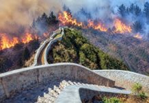 APURÍMAC: IDENTIFICAN A PRESUNTO RESPONSABLE DEL INCENDIO QUE CASI ALCANZA LA MURALLA CHINA ANDINA