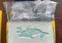 ¡NUEVO GOLPE AL NARCOTRÁFICO EN AYACUCHO! DECOMISAN MÁS DE 14 KILOS DE COCAÍNA