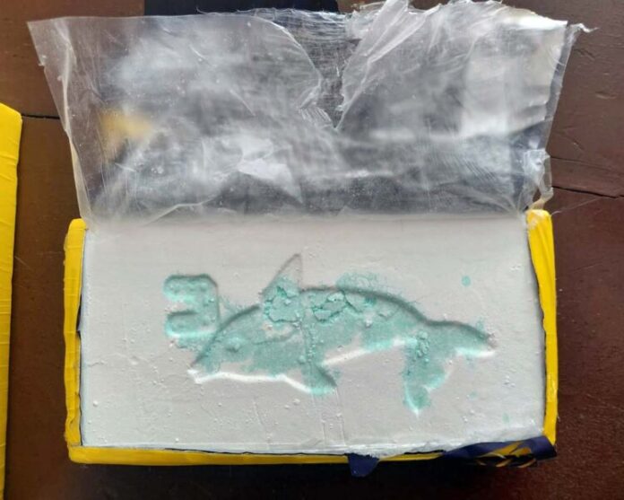NUEVO GOLPE AL NARCOTRÁFICO 1