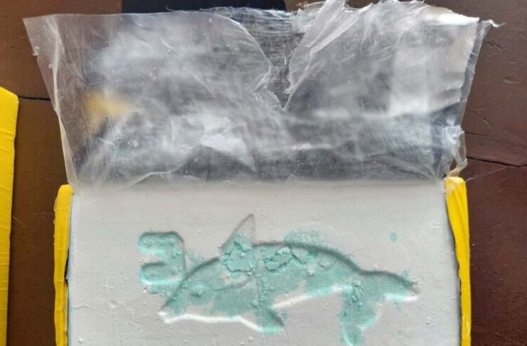 ¡NUEVO GOLPE AL NARCOTRÁFICO EN AYACUCHO! DECOMISAN MÁS DE 14 KILOS DE COCAÍNA