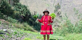 MIDAGRI: PERUANA RITA PARCCO RECIBE RECONOCIMIENTO DE LA FAO COMO UNA DE LAS 100 MUJERES HEROÍNAS EN EL MUNDO