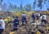 POLICÍA Y POBLADORES UNEN ESFUERZOS CONTRA INCENDIOS FORESTALES