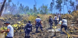 POLICÍA Y POBLADORES UNEN ESFUERZOS CONTRA INCENDIOS FORESTALES