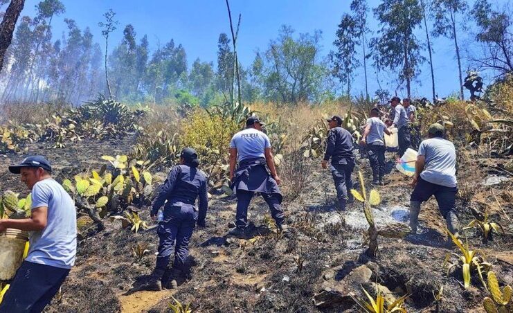 POLICÍA Y POBLADORES UNEN ESFUERZOS CONTRA INCENDIOS FORESTALES
